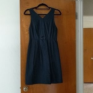 Madewell skater dress